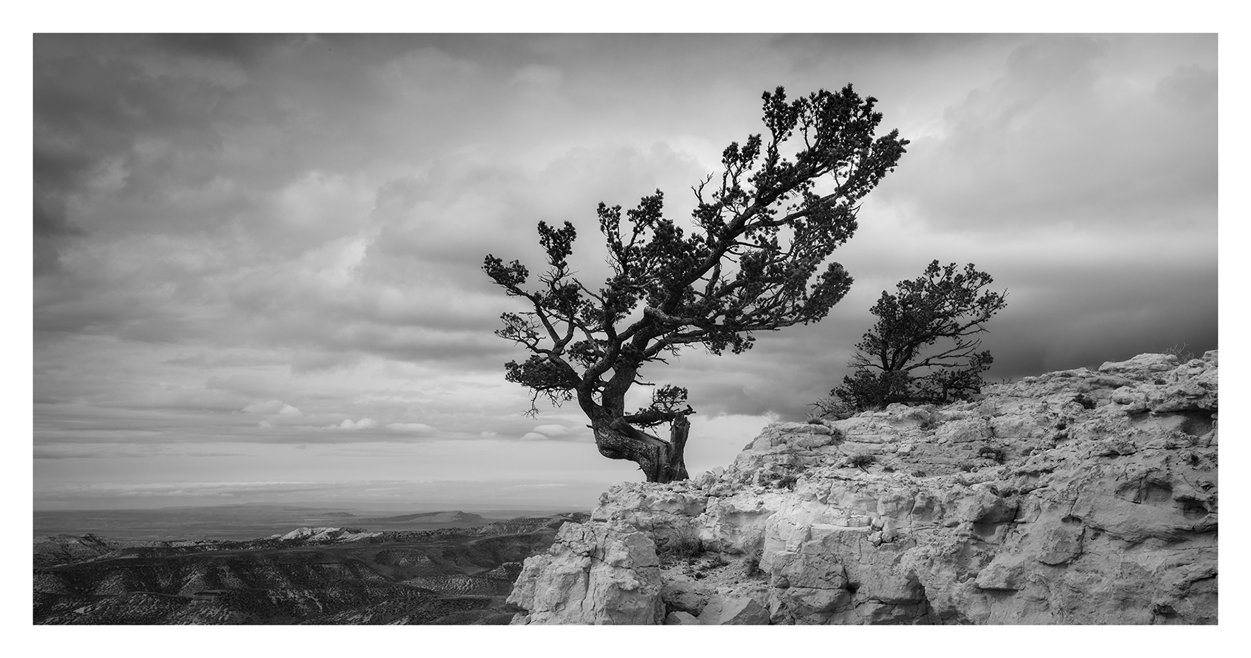 Dean Olson- Bates Hole Sentinel